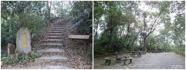 BBQ 燒烤 BBQ 燒烤