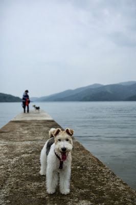 商店封面圖片