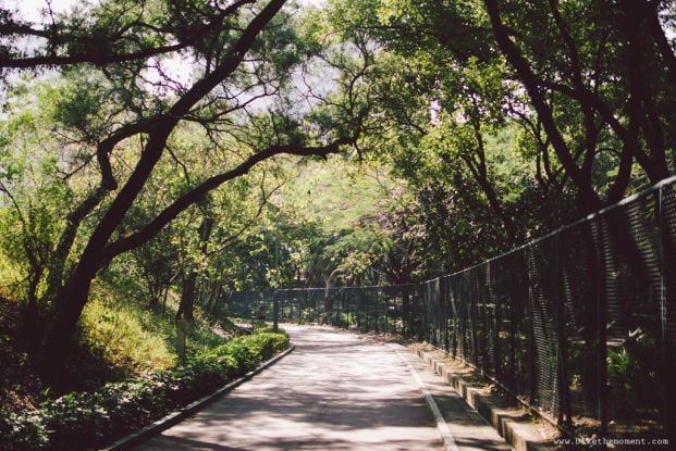 湖山單車公園