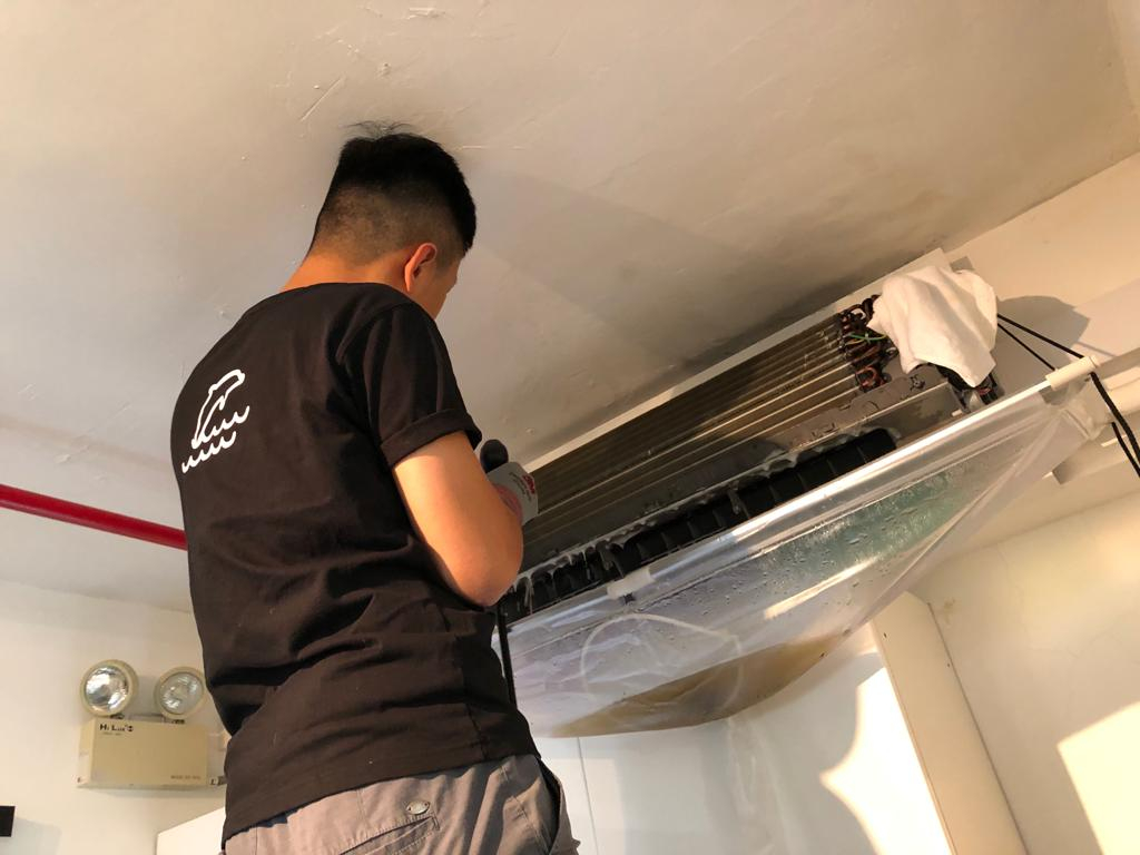 香港島 家居服務 | 海豚家居服務有限公司 - 專業服務 | BookFun