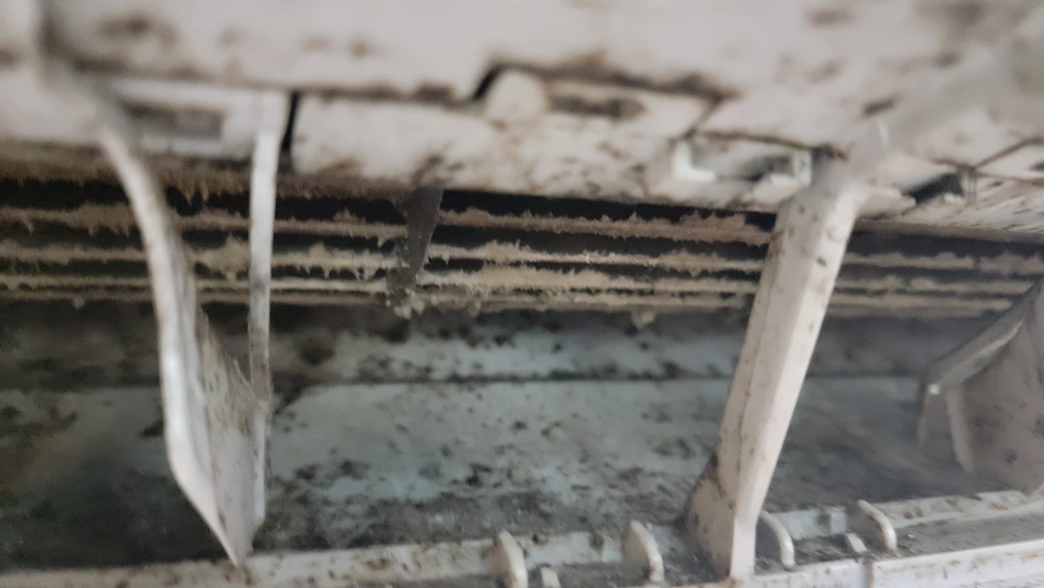 香港島 家居服務 | 榮發工程 - 專業服務 | BookFun