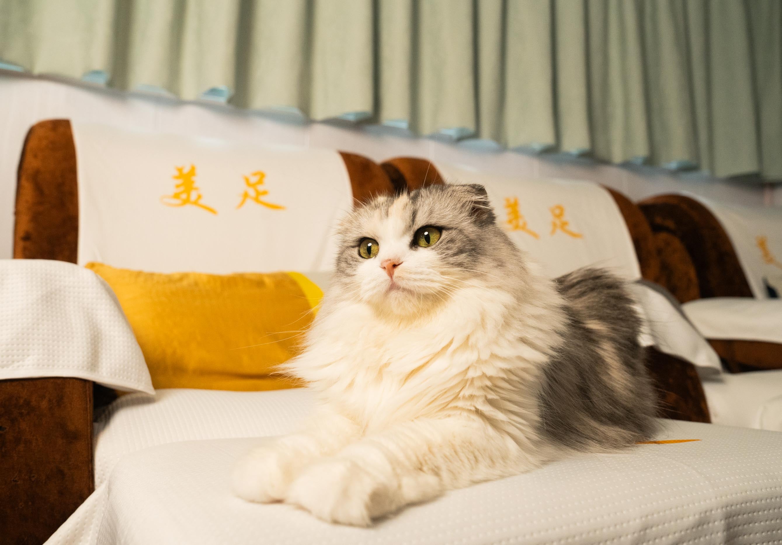 九龍 按摩 | 美足 - 旺角按摩 - 專業服務 | BookFun